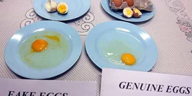Fake-egg