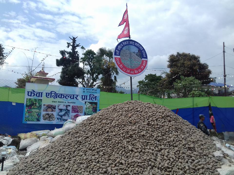 29695512_1861061177295078_7873650943152095232_n