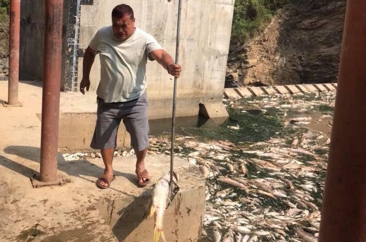 31948578_977254569114562_3774235221830926336_n