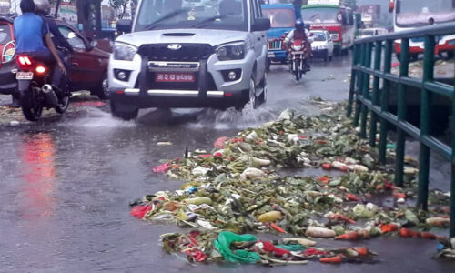 sabjimandi fohor (2)