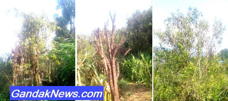 Suntala Bot Sukyo Tanahun