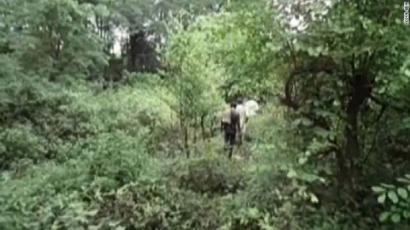 rape in jungle