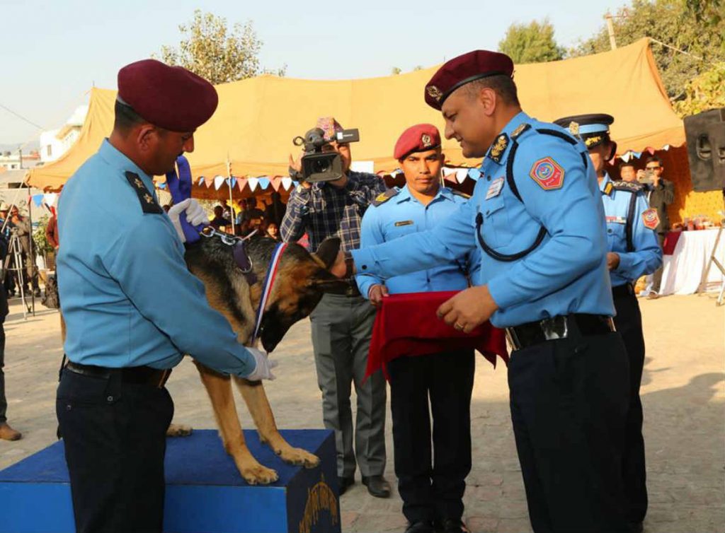 dog-worship-tihar-police-