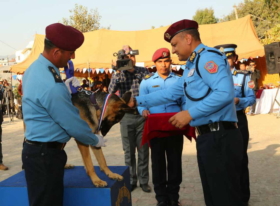 dog-worship-tihar-police-