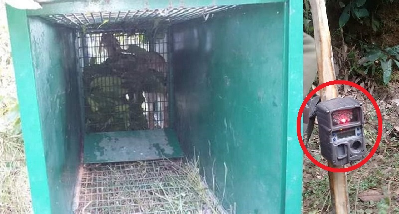 Bhanu Chitiwa Camera ra Paso