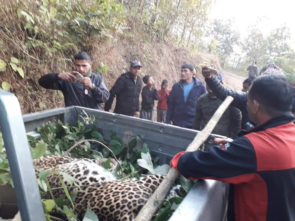 FB_IMG_1547447355764