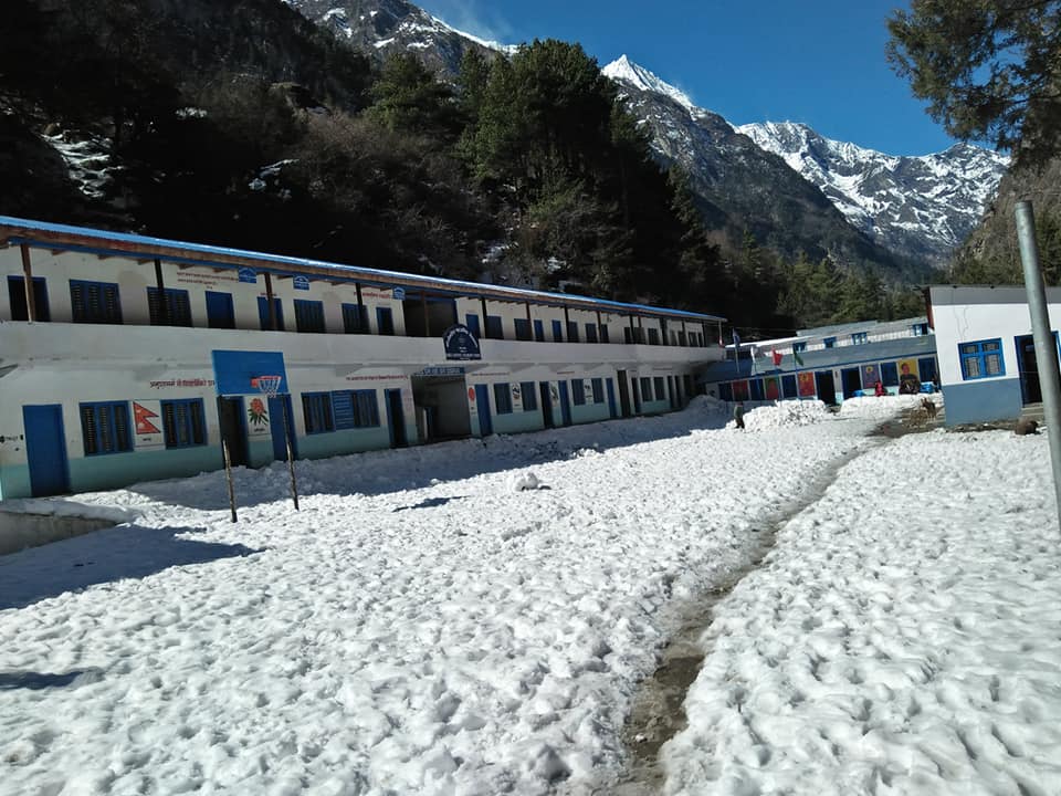 Manang hiu (1)