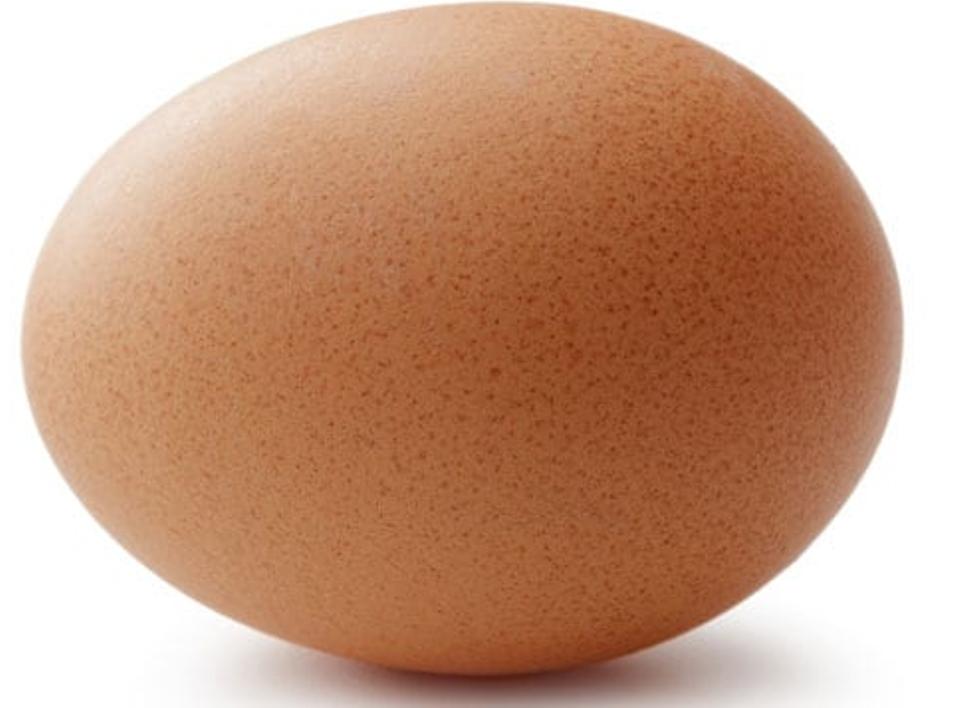 egg