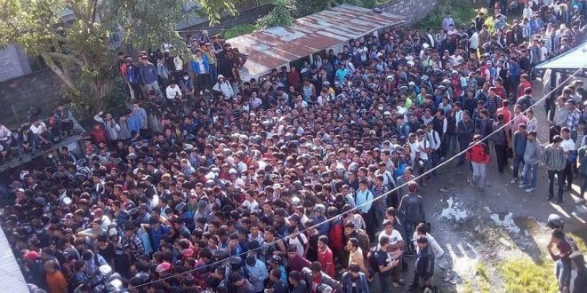 License-line-1-660×330