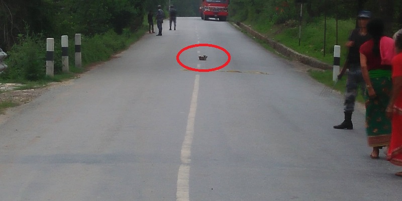 Musekhola Sankaspad bastu