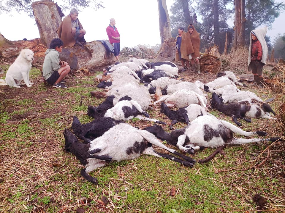 chatayang_lagera_veda_mare