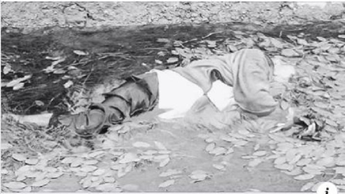 61869615_364286007555910_375435705662308352_n