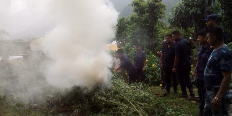 ganja-fadani-750×375