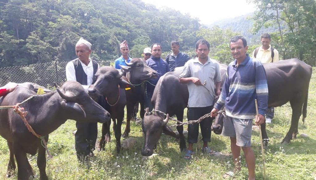 ranga bitaran lamjung (2)