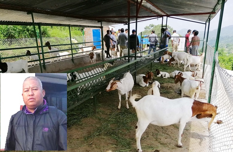 Bakhara Palan Tyson Malla