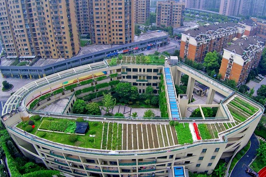ROOF-TOP-FARMING-IN-CHINA (1)