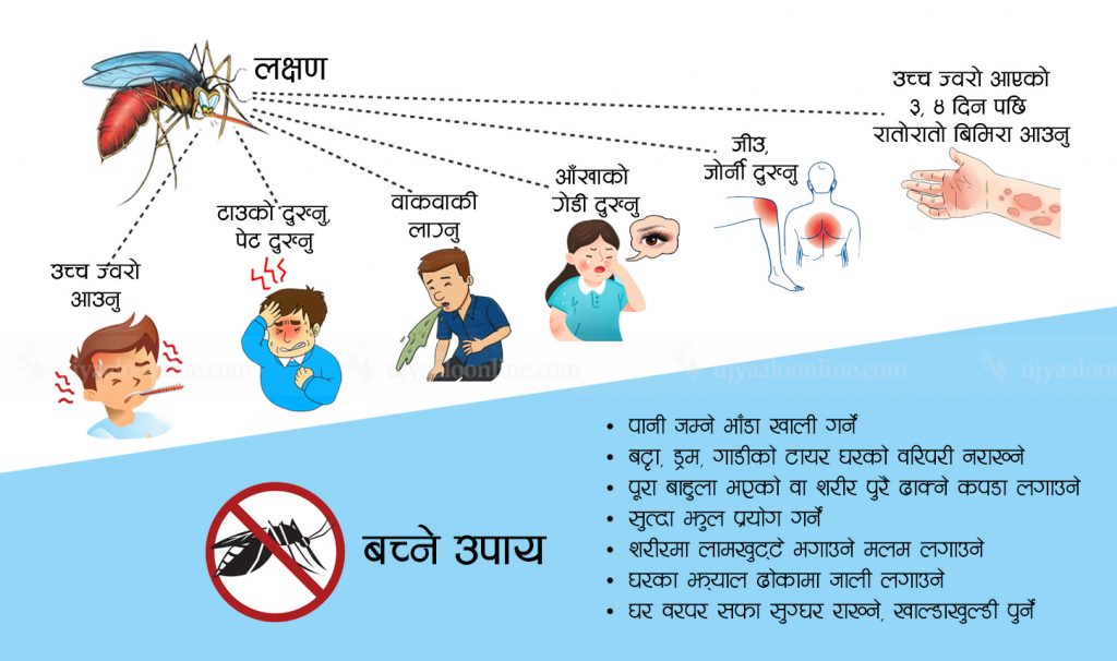 Dengue symptoms