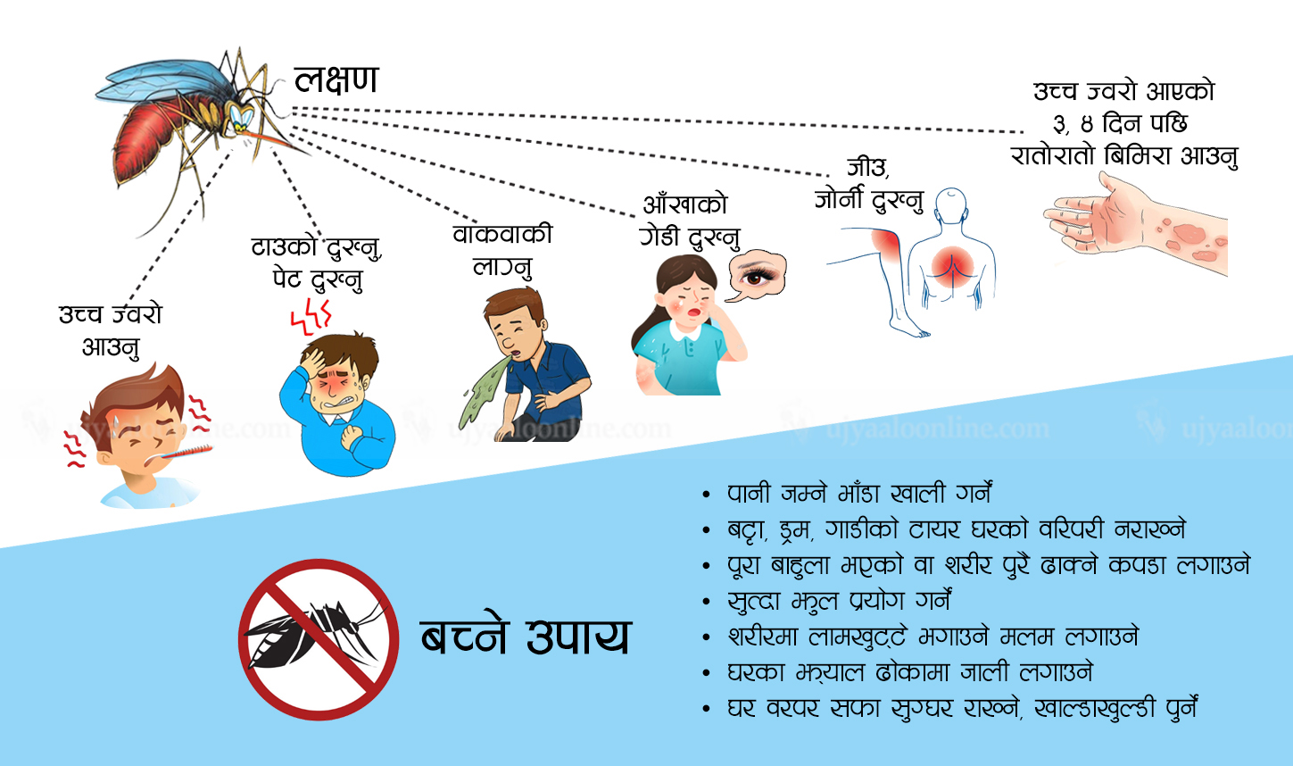 Dengue symptoms