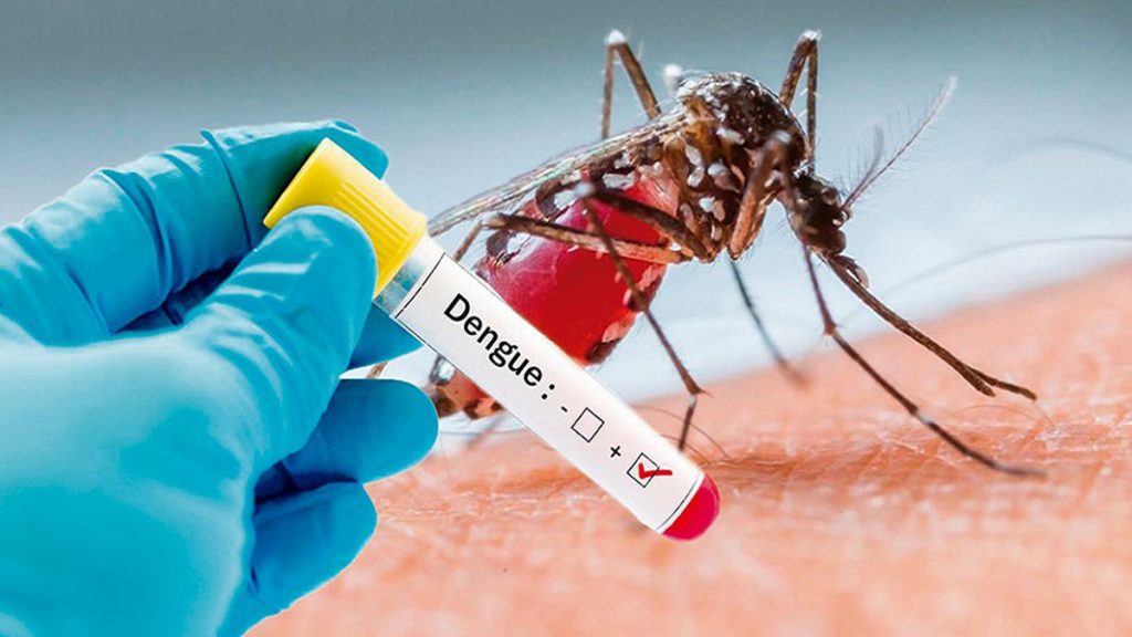 dengue-fever