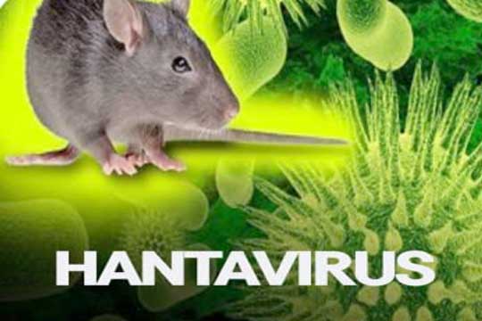 hanta-virus