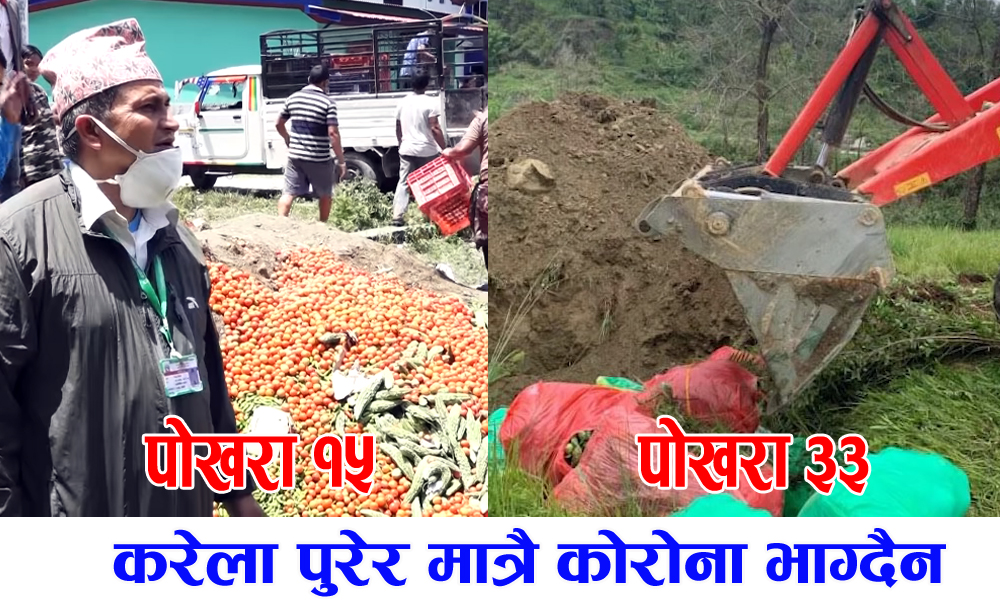 tarkari pokhara gandak