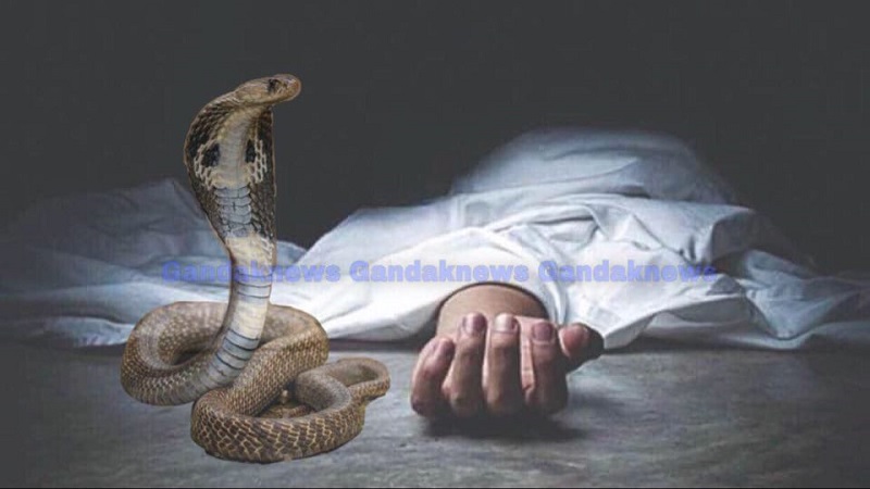 death snake