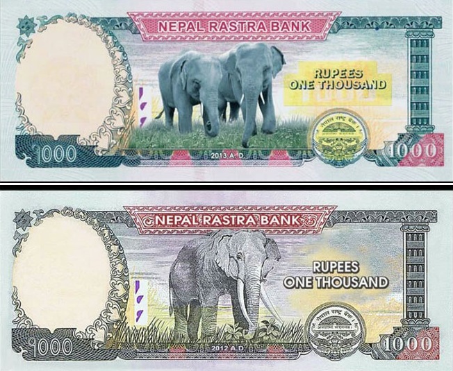 one-thousand-note