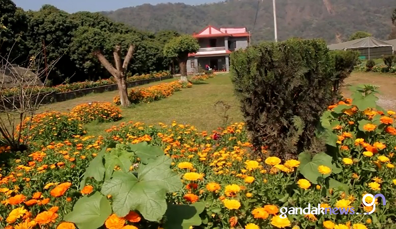 Bagwani Kendra Pokhara Malepatan