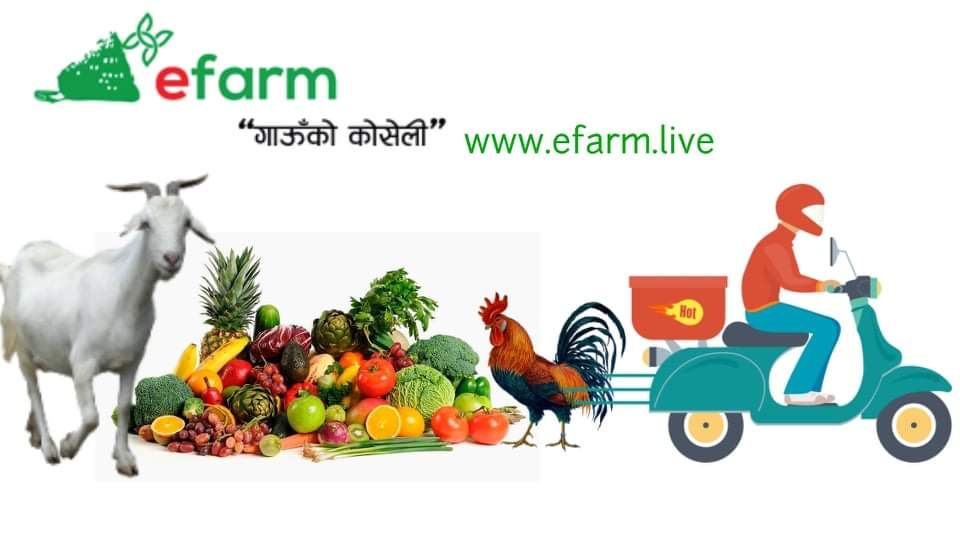 received_4154122054658514