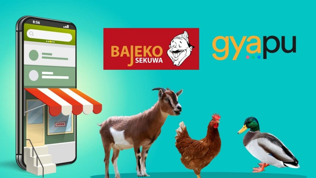 119487918_666062997373388_6235225001503710395_n