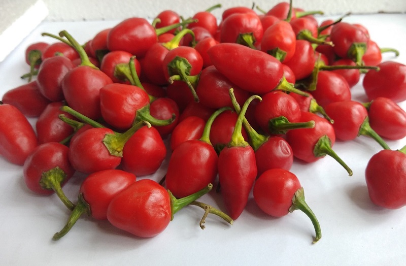 Dalle-Khursane-1200-6