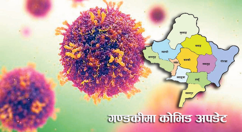 corona covid gandaki
