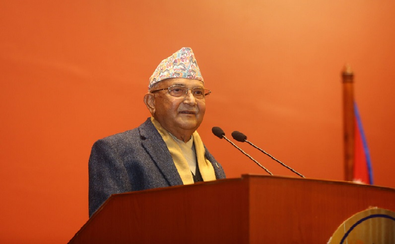 kp oli