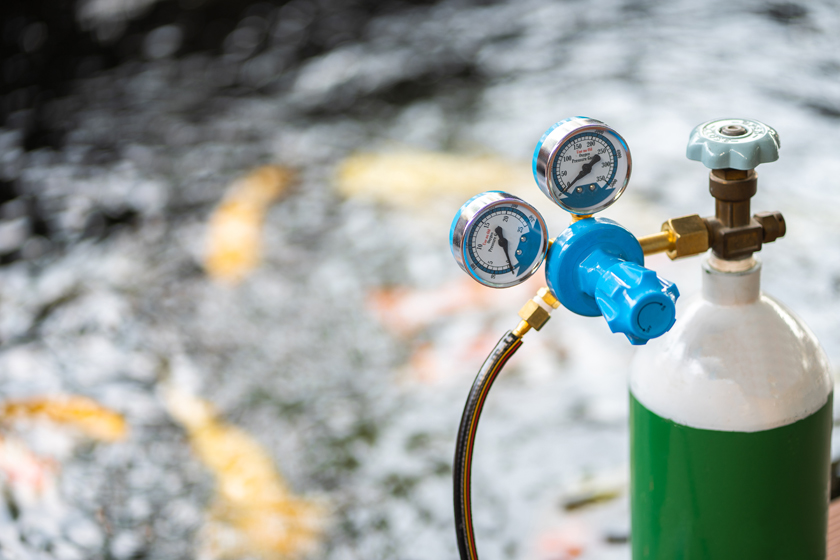 oxygen-tank-cylinder-regulator-gauge