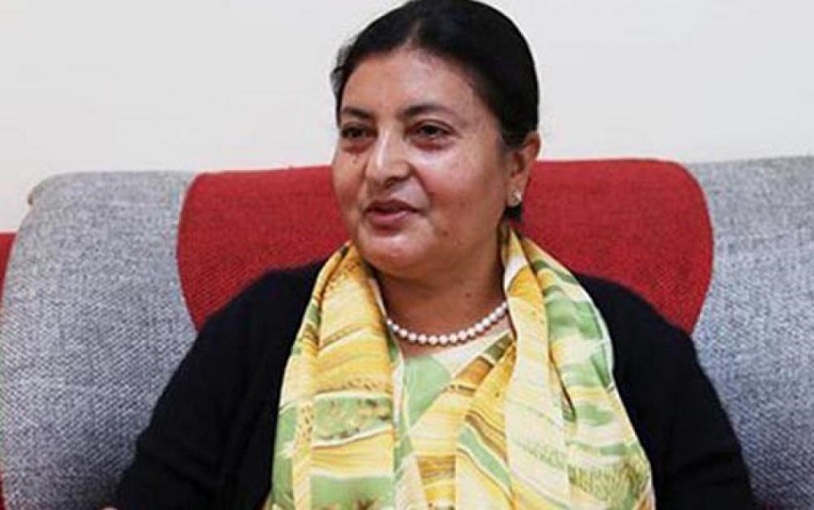 विद्यादेवी