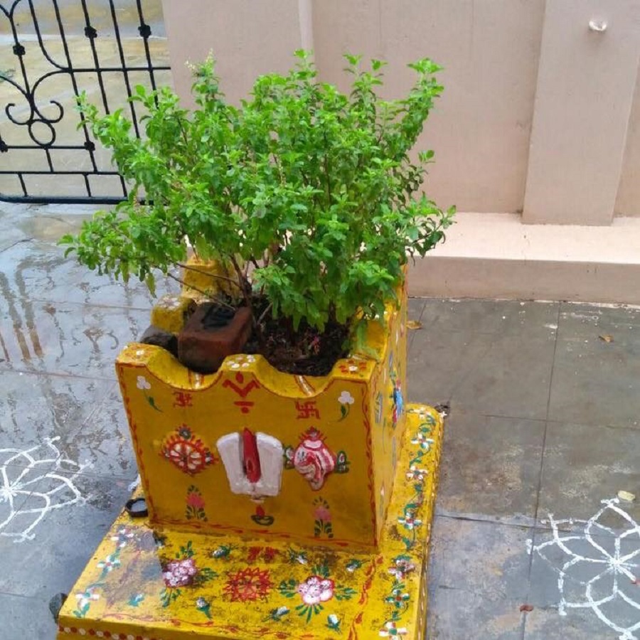 tulasi