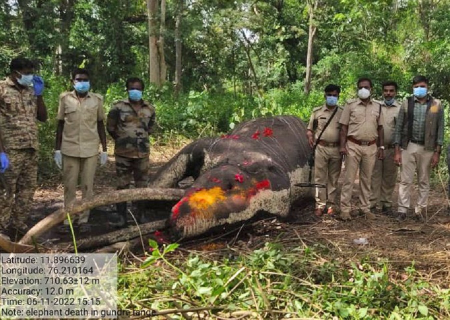 Kabinis-iconic-Bhogeshwara-is-dead