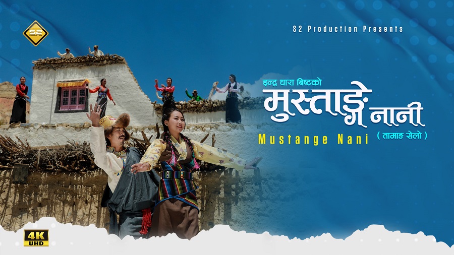 Mustange-Nani-02