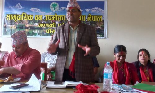 photo fecofun bandari