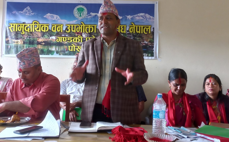 photo fecofun bandari