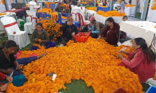 Sayapatri Mela (1)