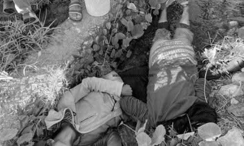 current maachha marda