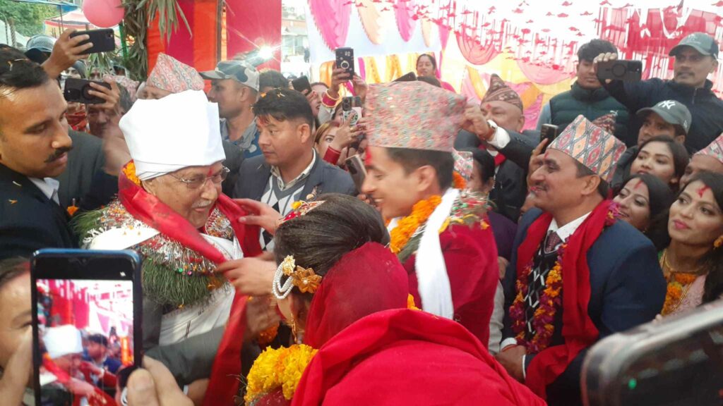 114056591oli bihe ma 2