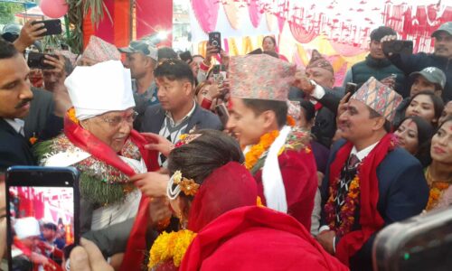 114056591oli bihe ma 2