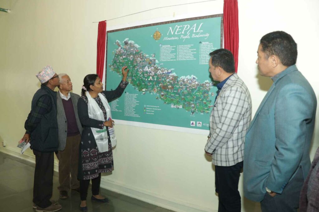 imm map