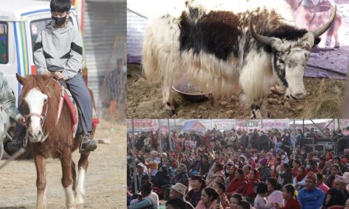 pokhara mahotsav news photo