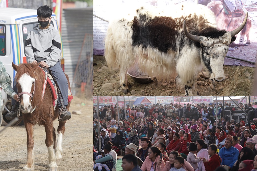 pokhara mahotsav news photo