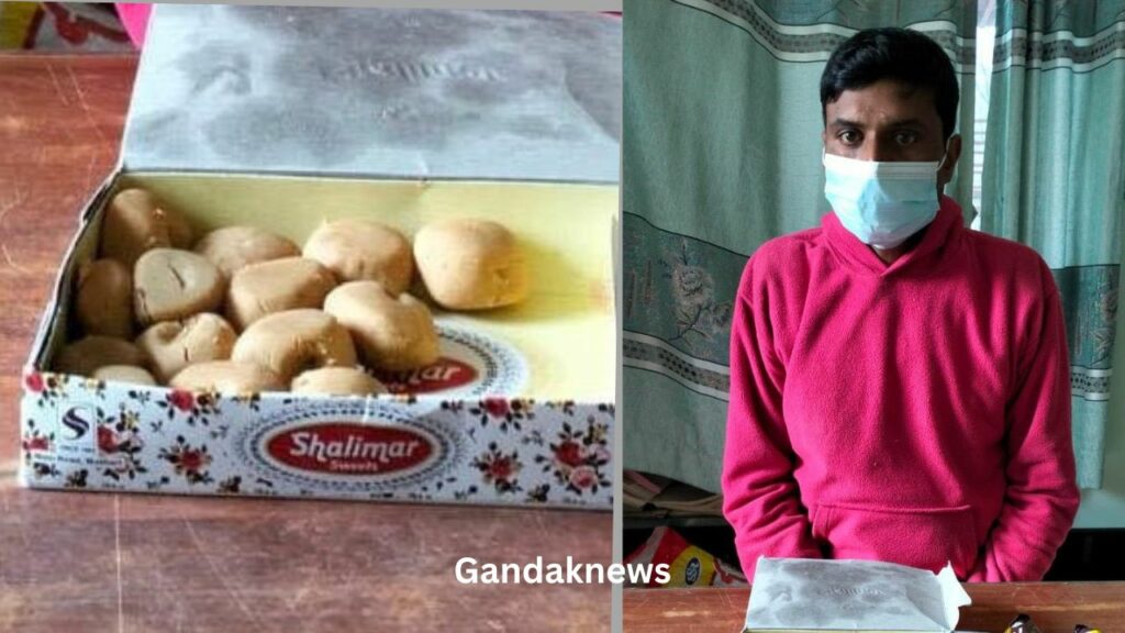 Green and White Minimalist Nature Travel Vlog Youtube Thumbnail