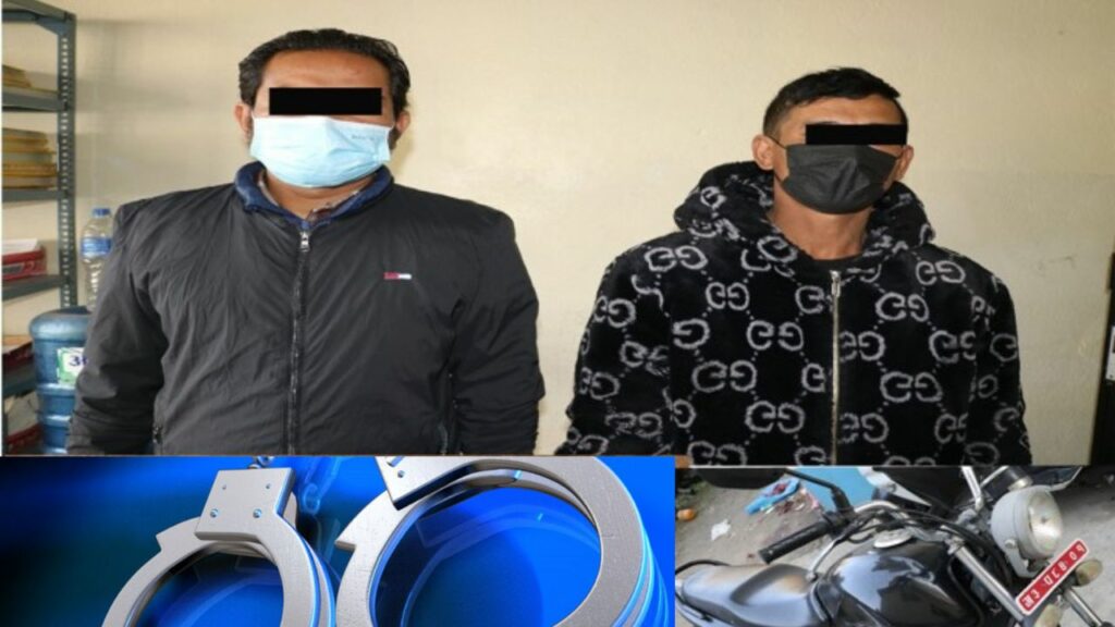 Green and White Minimalist Nature Travel Vlog Youtube Thumbnail