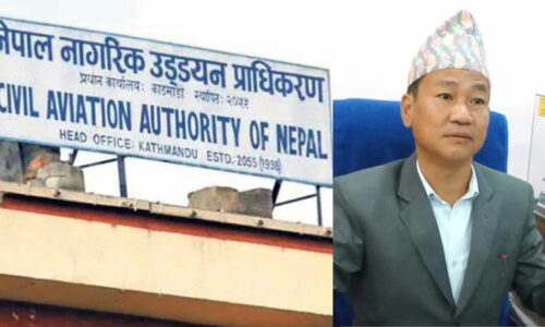 Green and White Minimalist Nature Travel Vlog Youtube Thumbnail